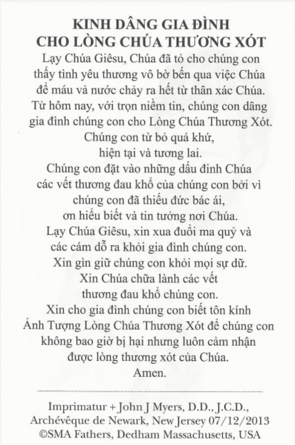 Vietnamese FDM Card